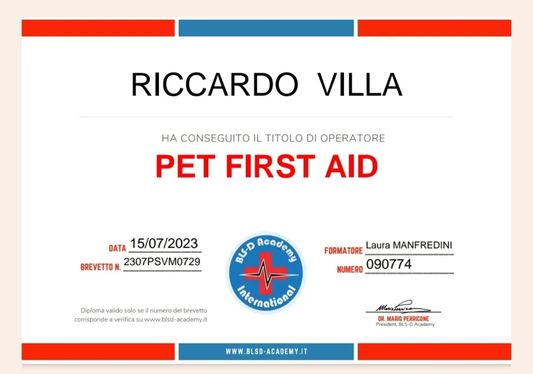 Primo Soccorso – Cani e Gatti