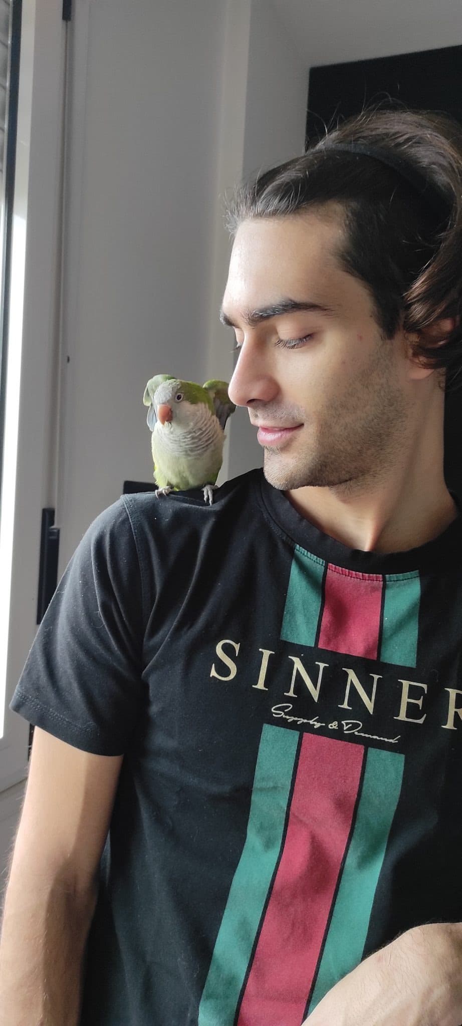 TOTO' – pet sitter a Bologna | Villa Pet Sitter