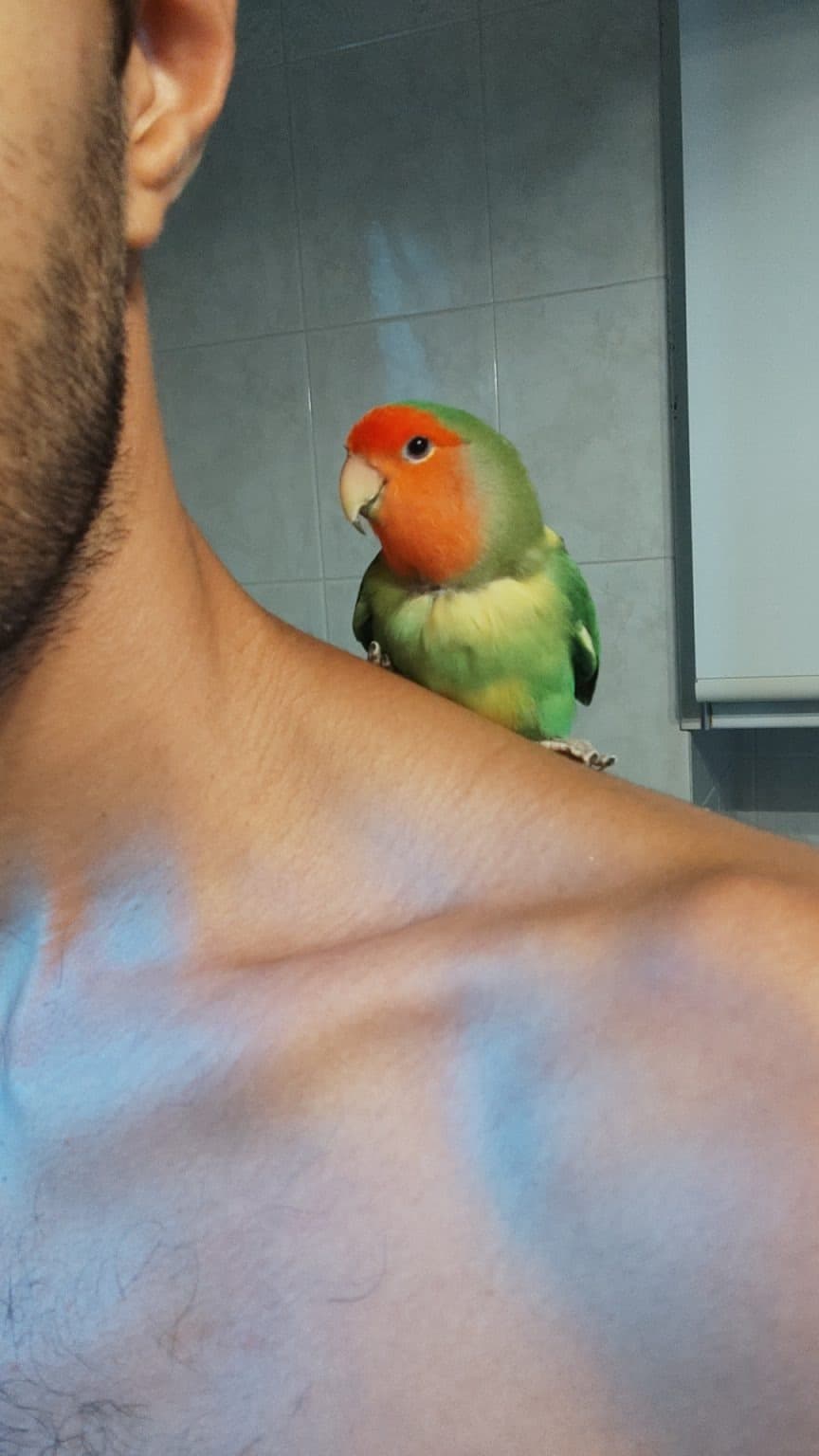 PAUL – pet sitter a Bologna | Villa Pet Sitter