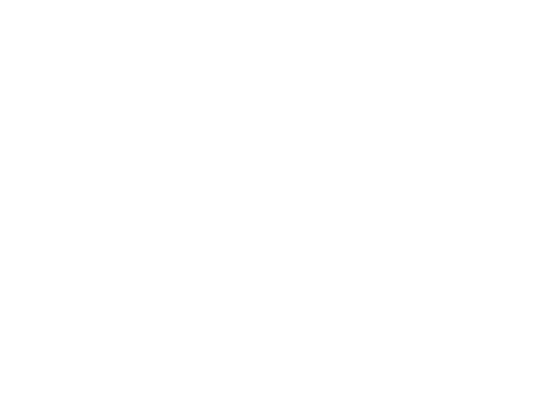 Villa Pet Sitter Logo